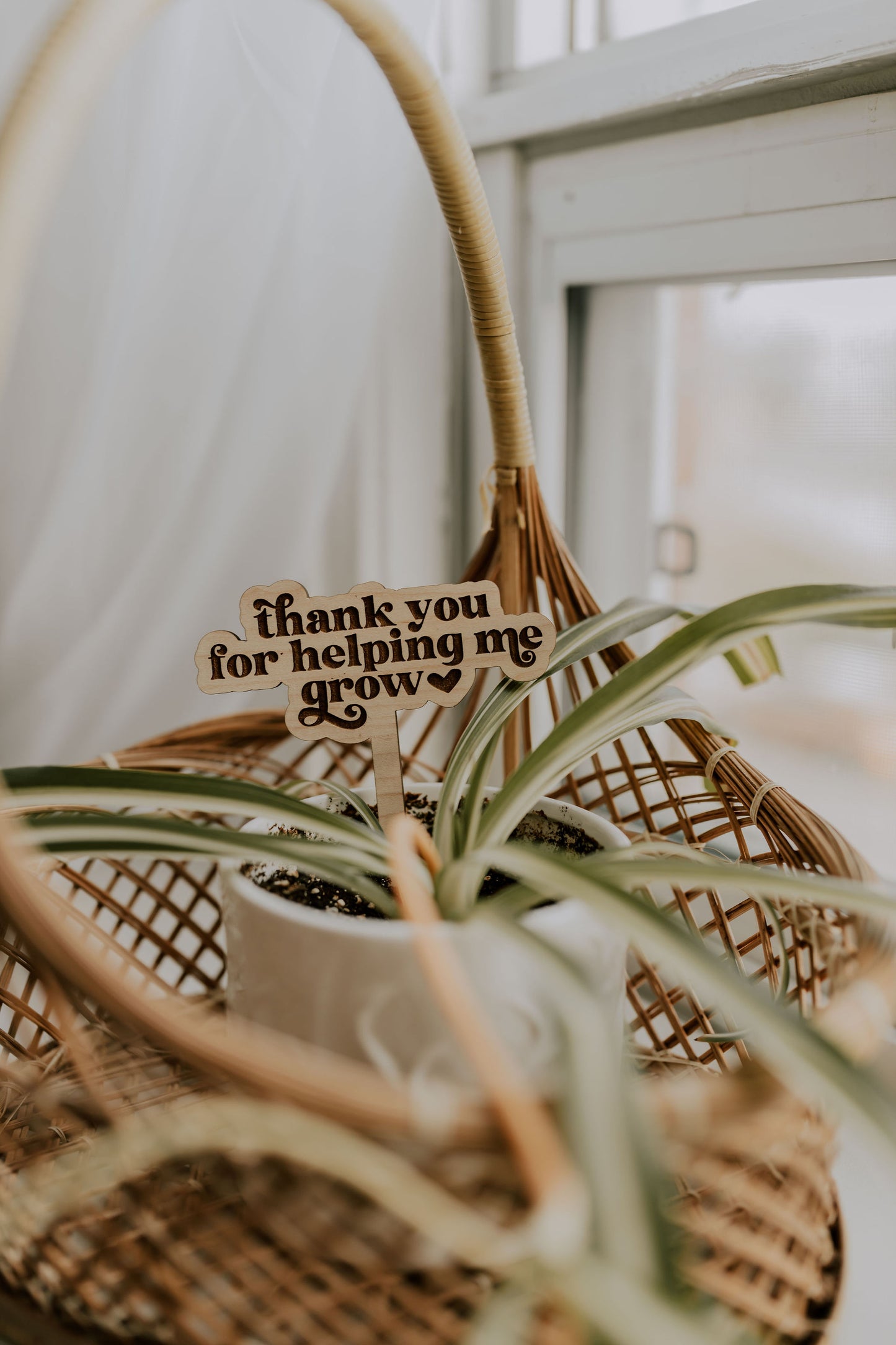 Thank you for helping me grow plant trellis