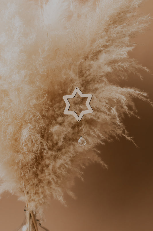 Star Sun Catcher